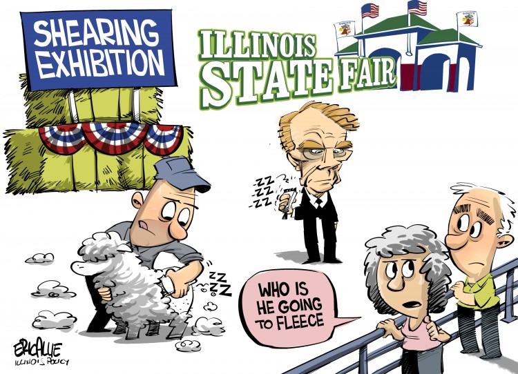 Illinois State Fair: Shearing Exhibition
