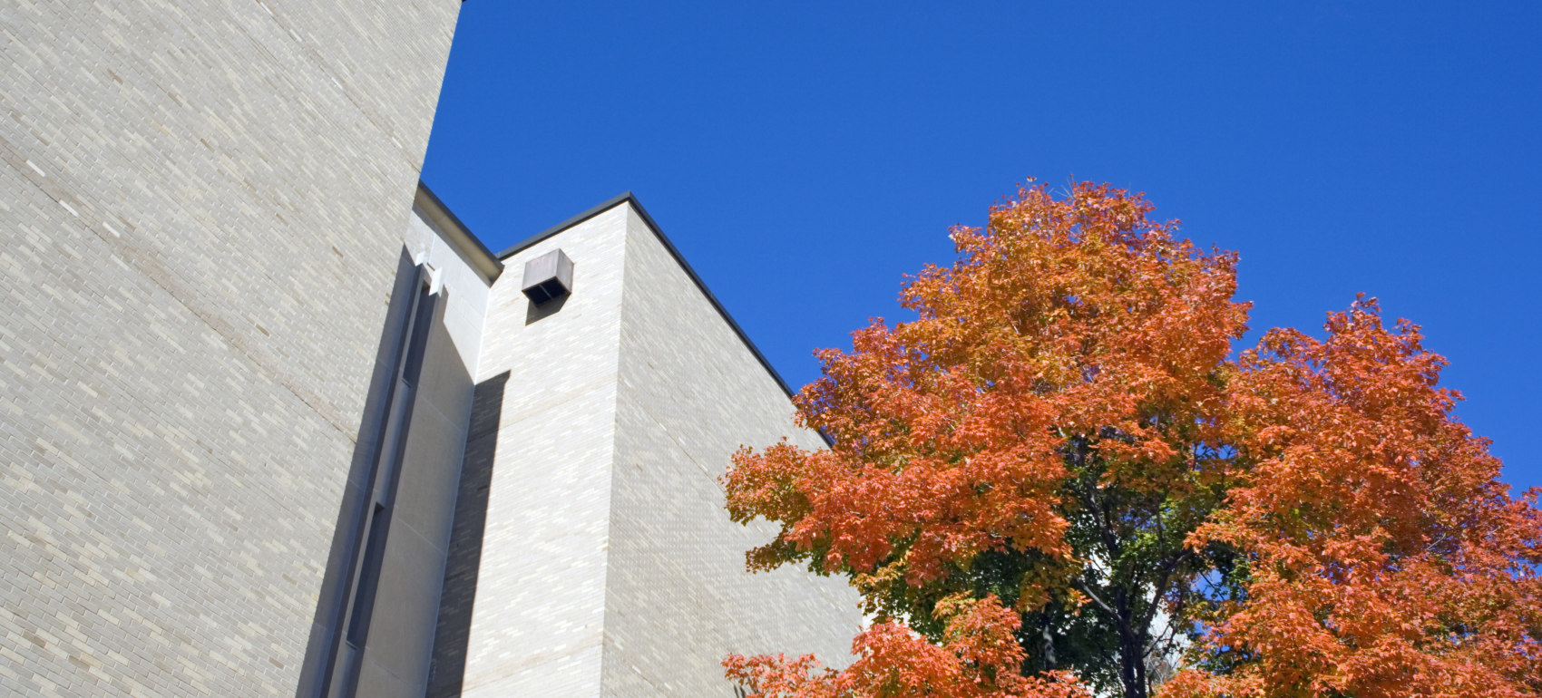 Rauner vetoes Lake County assessor bill