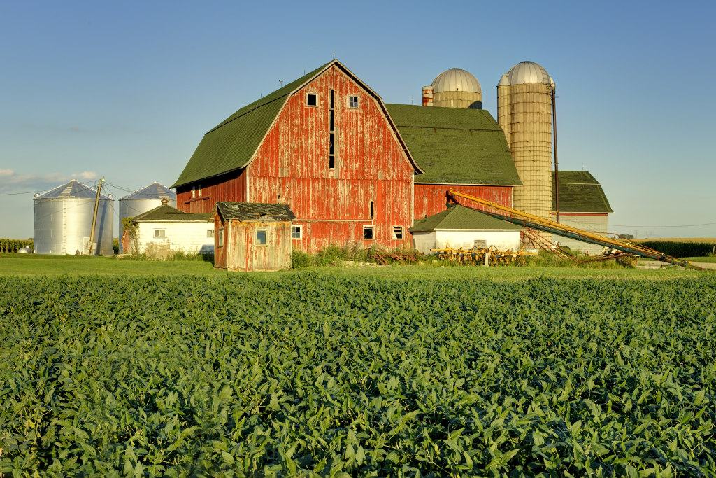 covid-19-increases-illinois-farm-losses-to-point-that-farms-may-be-lost