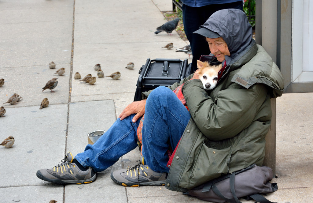 Illinois Policy Institute launches the Center for Poverty Solutions to ...