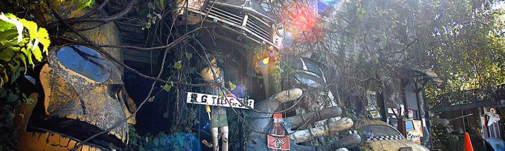 Spotlight Ravens Grin