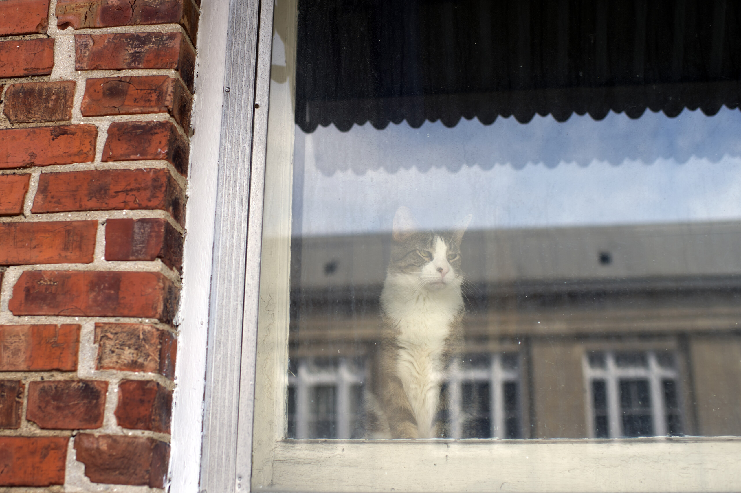 New bill could help Illinois’ housing gap with granny flats statewide